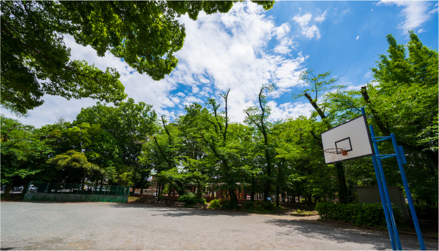 北野公園・北野公園市民プール